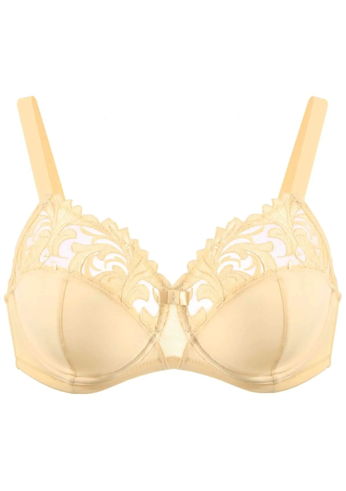 HSIA Embroidered Underwire Bra
